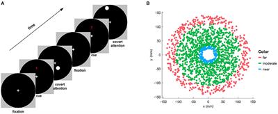 A BCI-Based Study on the Relationship Between the SSVEP and Retinal Eccentricity in Overt and Covert Attention